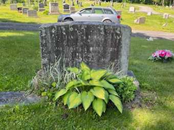 Grave Care: Before and After / image 340255
